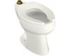 Kohler Highcliff K-4368-L-0 White Elongated Toilet Bowl with Top Spud and Bedpan Lugs