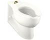 Kohler Anglesey K-4396-0 White Elongated Bowl with Rear Spud