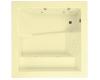 Kohler Consonance K-1111-VLN-Y2 Sunlight Whirlpool Bath Tub with Bodymassage Backjets