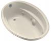 Kohler ProFlex 6040 K-1146-CN-47 Almond Oval Whirlpool Bath Tub with Custom Pump Location