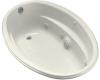 Kohler ProFlex 6040 K-1146-CN-96 Biscuit Oval Whirlpool Bath Tub with Custom Pump Location