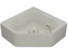 Kohler Tercet K-1160-HL-95 Ice Grey Tercet Whirlpool Bath Tub with Integral Apron, Flange and Heater