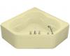 Kohler Tercet K-1160-HL-Y2 Sunlight Tercet Whirlpool Bath Tub with Integral Apron, Flange and Heater