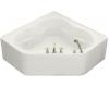 Kohler Tercet K-1160-LA-0 White Tercet Whirlpool Bath Tub with Integral Apron