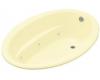 Kohler Sunward K-1162-Y2 Sunlight 5' Whirlpool Bath Tub