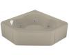 Kohler Sojourn K-1244-F-G9 Sandbar Whirlpool Bath Tub with Integral Nailing Flange