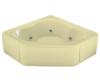 Kohler Sojourn K-1244-F-Y2 Sunlight Whirlpool Bath Tub with Integral Nailing Flange