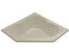 Kohler Sojourn K-1244-HM-G9 Skylight Whirlpool Bath Tub with Custom Pump Location and Heater