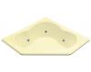Kohler Sojourn K-1244-HM-Y2 Skylight Whirlpool Bath Tub with Custom Pump Location and Heater