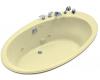 Kohler Seaside K-1248-CG-Y2 Sunlight 6' Whirlpool Bath Tub with Custom Pump Location