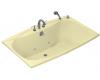 Kohler Folio K-1263-HG-Y2 Sunlight Whirlpool Bath Tub with Custom Pump Location and Heater