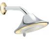 Moen Asceri 104238CP Chrome/Polished Brass 4-Function Showerhead