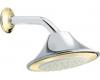 Moen Asceri 104239CP Chrome/Polished Brass Showerhead