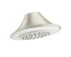 Moen Asceri 104239STV Satine/Ivory Showerhead