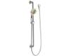 Moen Asceri 3837CP Chrome/Polished Brass 4-Function Handheld Shower with Slide Bar