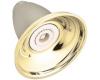 Moen Castleby 3903ST Satine/Polished Brass Showerhead