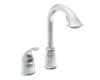 Moen 5955 Camerist Chrome Bar Pullout Faucet