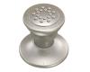 Moen A501AN Asceri Antique Nickel Body Spray