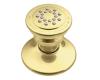 Moen A501P Asceri Polished Brass Body Spray