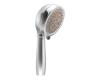 Moen Asceri 3835 Chrome 4-Function Handshower