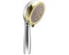 Moen 3835CP Asceri Chrome/Polished Brass 4-Function Handheld Shower