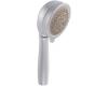 Moen 3835PM Asceri Platinum 4-Function Handheld Shower