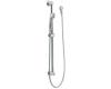 Moen 3869EP Chrome Handheld Shower