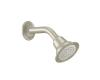 Moen 6307BN Brushed Nickel Showerhead, Arm and Flange