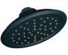 Moen S6310WR Wrought Iron One-Function 7" Diameter Rainshower Showerhead