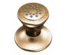Moen A501AZ Antique Bronze Body Spray