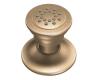 Moen A501BB Brushed Bronze Body Spray