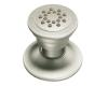 Moen A501HN Hammered Nickel Body Spray