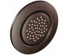 Moen TS1322ORB Oil Rubbed Bronze Body Spray