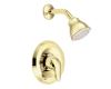 Moen TL182P Chateau Polished Brass Posi-Temp Shower Trim Kit with Lever Handle