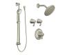 Moen ExactTemp 270BN Brushed Nickel 3/4" Vertical Spa Set Trim Kit