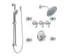 Moen Exacttemp 275 Chrome Exacttemp Vertical Spa Trim