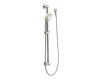 Moen 3867CP Eva Chrome/Polished Brass 4-Function Hand Shower with Slide Bar