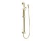 Moen 3867P Eva Polished Brass 4-Function Hand Shower with Slide Bar