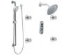 Moen TS295 Io/Digital Chrome Iodigital Vertical Spa