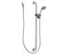 Moen 52236GBM25 Commercial Chrome/Stainless Standard Slide Bar/Grab Bar Shower Handheld Shower