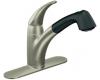 Moen Extensa CA7560CSLBL Classic Stainless/Matte Black Classic Stainless One-Handle Low Arc Pullout Kitchen Faucet