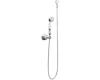 Moen S145 Felicity Chrome Single Function Hand Shower with Wall Bracket