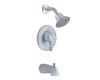 Moen Villeta TL2303PM Platinum/Chrome Posi-Temp Tub & Shower Trim Kit with Lever Handle