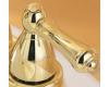 Price Pfister Carmel & Parisa HHS-JLBP Polished Brass Lever Handle