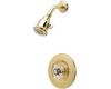 Price Pfister R89-70XP-SGL-8RAP Savannah Brass Polished Shower