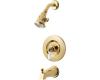 Price Pfister R89-80XP_SGL-80PP Savannah Brass Polished Tub Spout and Shower