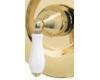 Pfister SGL-JLPP Carmel & Parisa Polished Brass/White Porcelain Lever Handle