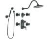 ShowHouse by Moen Waterhill S512WR Wrought Iron ExactTemp 3/4" Vertical Spa Set