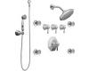 ShowHouse by Moen Felicity S546 Chrome ExactTemp 3/4" Vertical Spa Set