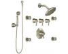 ShowHouse by Moen Felicity S546BN Brushed Nickel ExactTemp 3/4" Vertical Spa Set